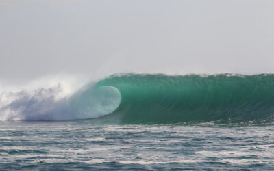 The Surfing Doctors Early Season G-Land Roster Is Wide Open