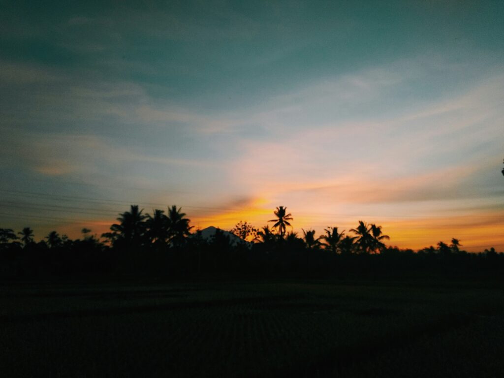 Kandui and the Mentawais