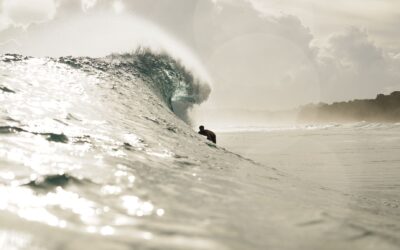 The Surfing Doctors have been getting around.